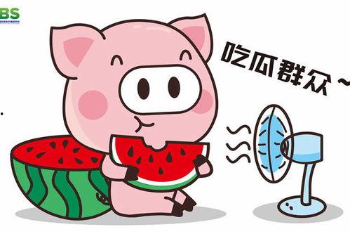 吃瓜网娱乐八卦图,娱乐圈最新八卦图背后的惊人真相