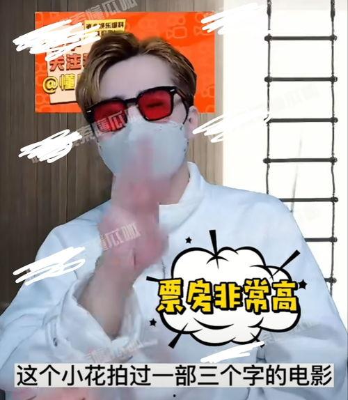 娱乐圈吃瓜四字小花,揭秘明星背后的故事