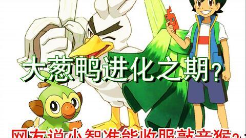 鸭之一旅在线观看,在线观看，探寻鸭子的奇幻旅程