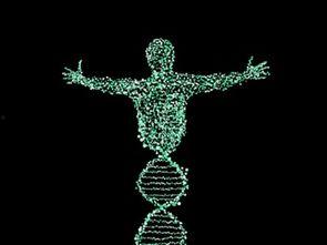 dna 在线观看,在线观看揭示生命密码之旅