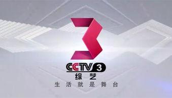 中央10台在线直播观看,精彩赛事，实时呈现