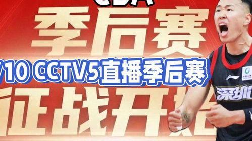 中央10台在线直播观看,精彩赛事，实时呈现