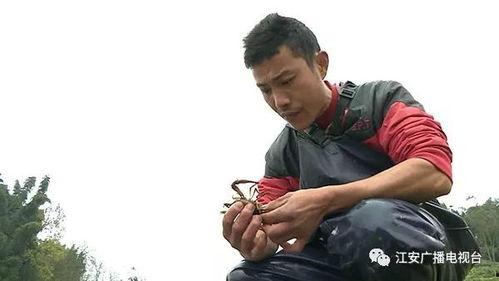 李小兵在线观看,在线观看，揭秘他的精彩人生