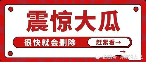娱乐圈吃瓜用语大全,揭秘明星圈内的“暗语”与“黑话”
