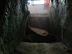 《地洞》在线观看,揭秘神秘地底世界的惊险探险之旅