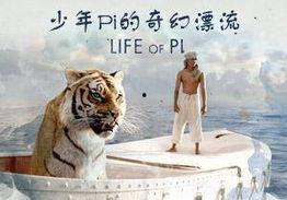 少年派的奇幻漂流在线观看完整版,一场惊心动魄的海洋求生之旅