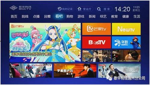 天天更新院线在线观看,在线观影新体验