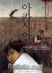 韩国洋槐在线观看,在线观看，感受浪漫槐花飘香之旅