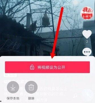 最新公开视频在线观看,精彩瞬间一网打尽