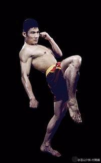 武林风打日本人,中日高手巅峰对决，日本选手挑战中华武术荣耀