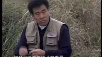 古剑奇谭在线观看土豆,穿越时空的奇幻冒险之旅