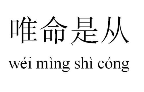 在线观看唯命是从,揭秘忠诚与权力的现代寓言