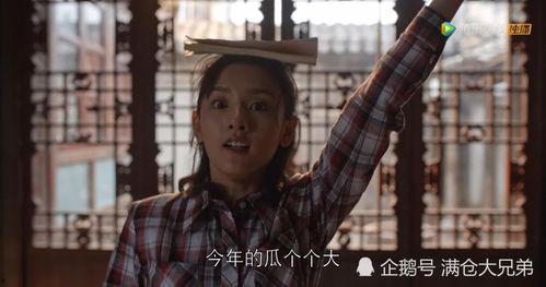 娱乐圈吃瓜怎么没了,揭秘幕后真相与反思