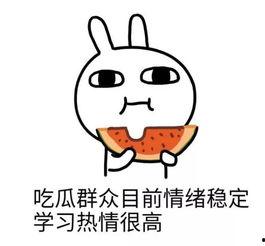 娱乐圈吃瓜二人是谁啊,揭秘娱乐圈神秘“瓜农”背后的故事