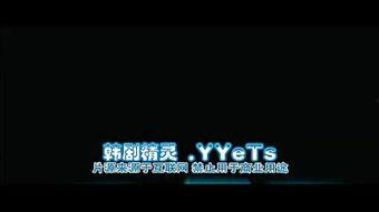 佳节高清在线观看,重温传统节日魅力