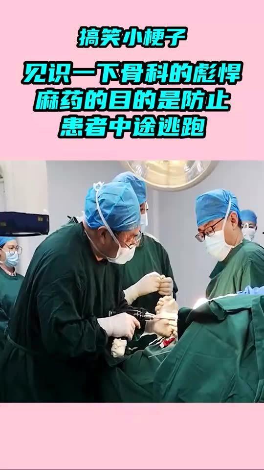 麻药网在线观看