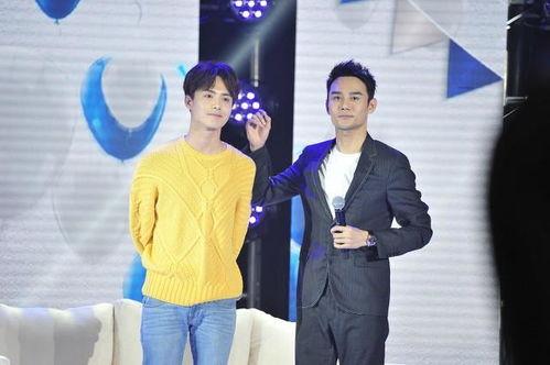 娱乐圈明星吃瓜合集小说,揭秘幕后真相