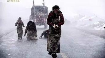 电影岗仁波齐在线观看,探寻信仰之巅的朝圣之旅