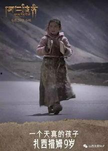 电影岗仁波齐在线观看,探寻信仰之巅的朝圣之旅