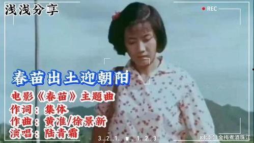 春苗 电影在线观看,生命绽放的奇迹，在线观影之旅