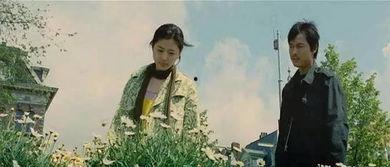 电影雏菊在线观看,浪漫复仇的悲喜交织