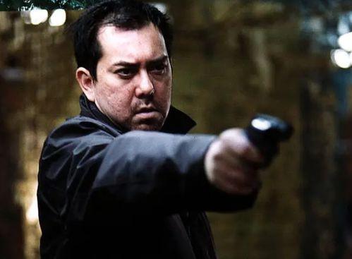 黄秋生刑警在线观看,探案风云再起，正义之光闪耀荧屏