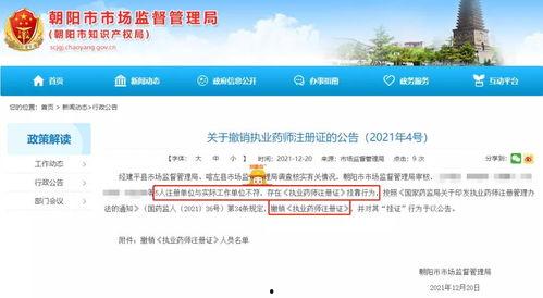 查控药师在线观看,揭秘药品监管背后的故事