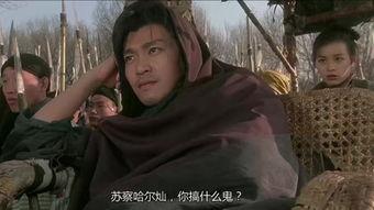 苏乞儿赵文卓在线观看,赵文卓传奇人生，在线重温武侠经典