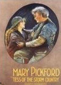 苔丝 在线观看,探寻乡村爱情的悲歌