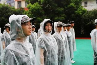 风雨当头在线观看,在线观看，共赴激荡人心的冒险之旅