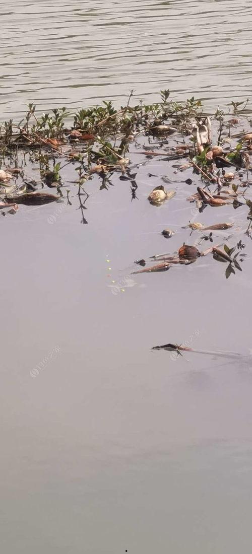 风雨当头在线观看,在线观看，共赴激荡人心的冒险之旅
