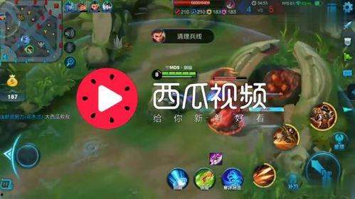 吃瓜娱乐背景音乐有哪些,盘点那些让人捧腹大笑的吃瓜娱乐背景音乐