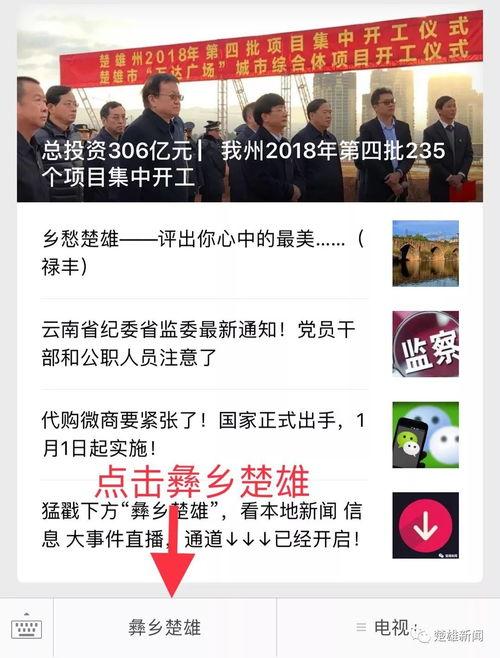 三级直播在线观看网站,在线观看体验全解析