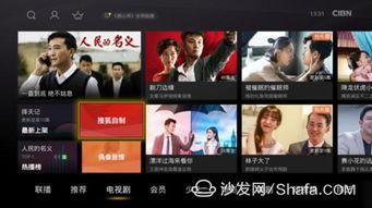 在线tv视频在线观看,在线TV视频免费观看指南