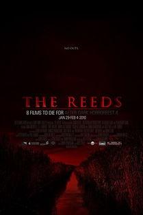 簧片视频在线观看,在线观看簧片视频的精彩瞬间