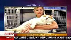 肥猫tv在线观看,畅享在线娱乐的无限魅力