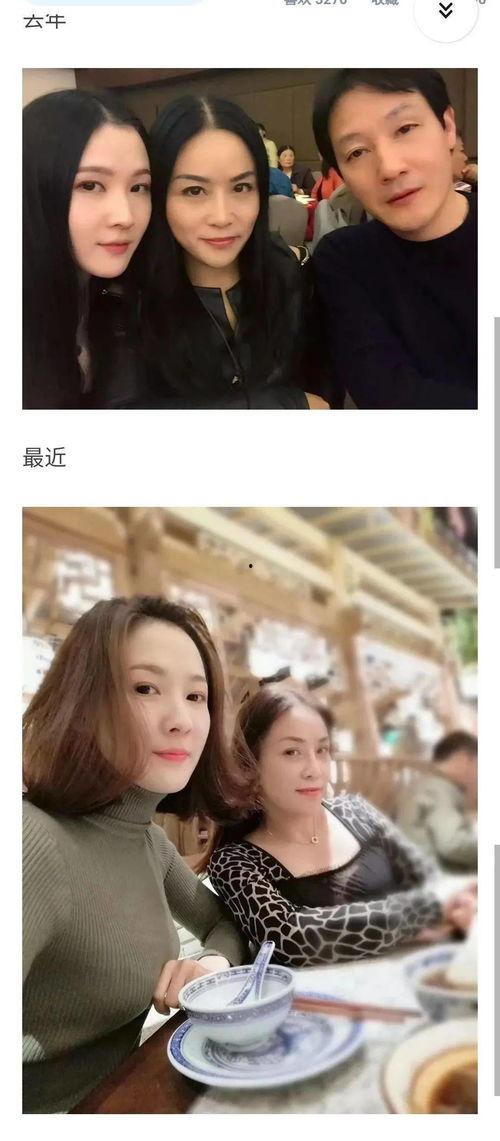 我的美丽母亲在线观看,在线重温感人母爱故事