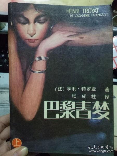 巴黎春梦在线观看,浪漫之都的梦幻之旅在线观看指南