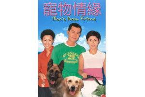 宠物情缘在线观看,萌宠相伴，共度温馨时光