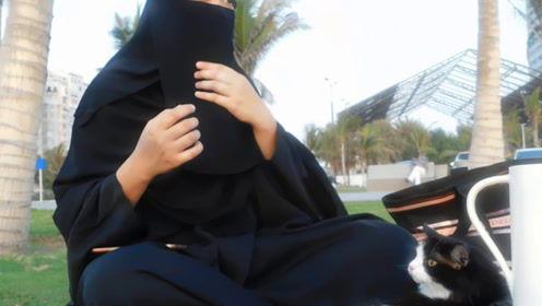 娱乐吃瓜君的视频