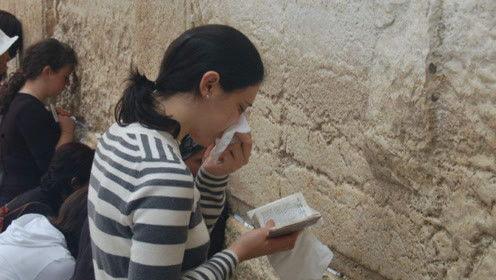 娱乐吃瓜君的视频