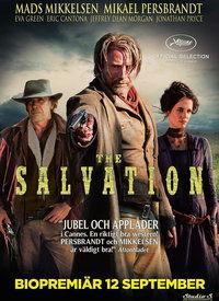 救世在线观看,揭秘虚拟世界中的英雄传奇